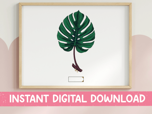Download Monstera Leaf Botanical Label Design - Botanical Collection
